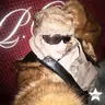 @mr_paul.boy — TikTok avatar
