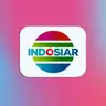 @indosiarid — TikTok avatar