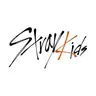 @jypestraykids — TikTok avatar