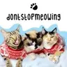 @dontstopmeowing — TikTok avatar