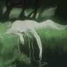 @madisonbeer — TikTok avatar