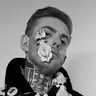 @insecthaus_adi — TikTok avatar