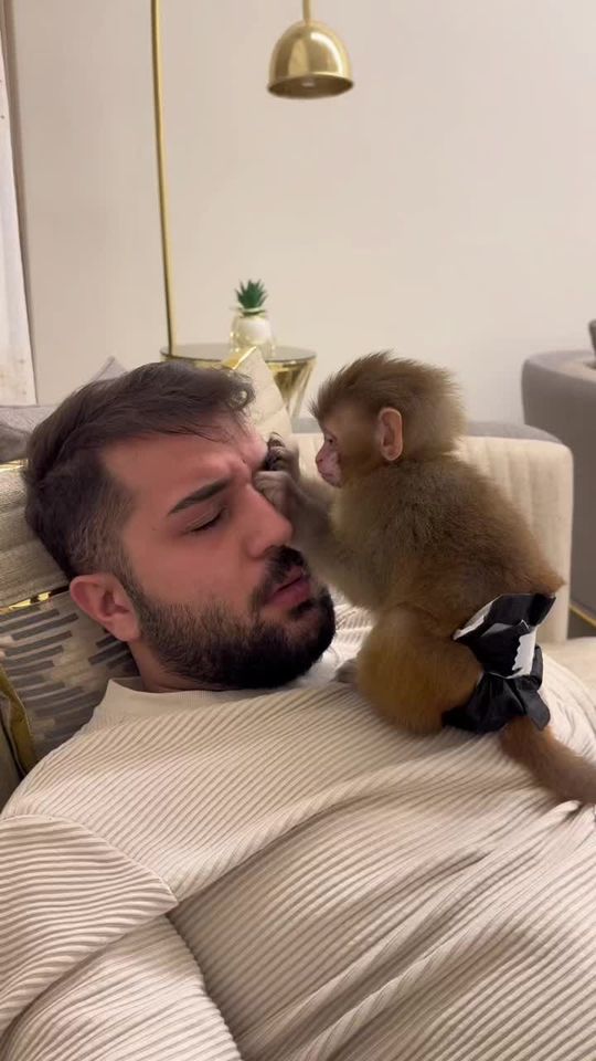 Skin Care 🤪 #monkey #skincare 