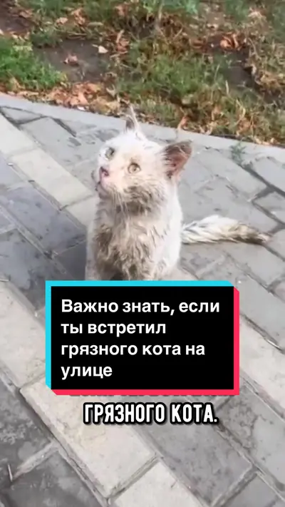 А ты знаешь об этом? — @nedzvedskaya