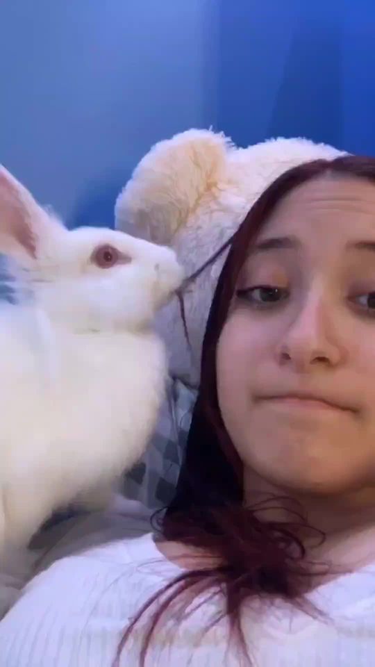 ๐ #foryou #animals #funny #tiktok #4u #funnymoments #pet #fa