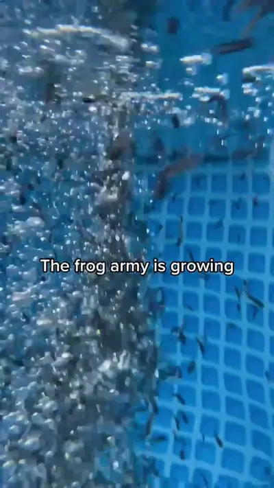 Wait for the end... it’s not a threat... i promise. Or is it? 😊 #froga — @.baby.frogs