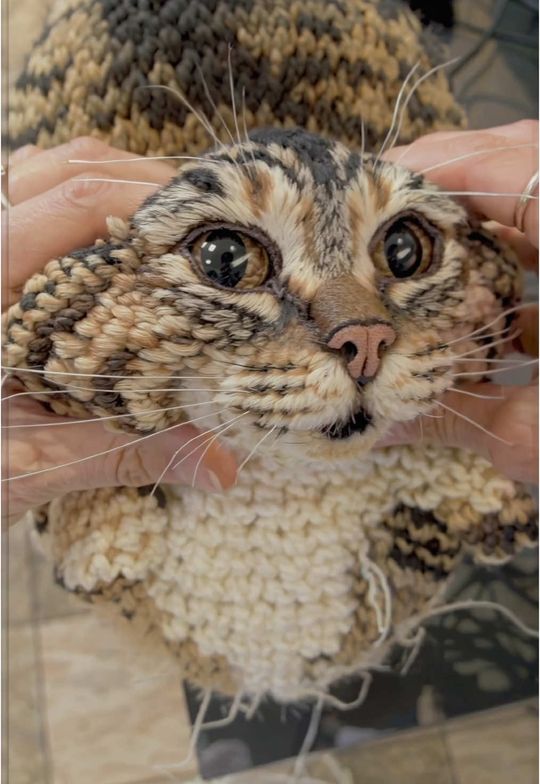 Crochet kitty caught by tickle monster #cutecat #pet #kucing