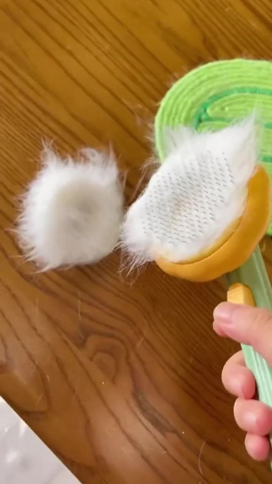 Destroy Dandelion 🤣#funny #cat #PetOfTiktok #somebody #pet #
