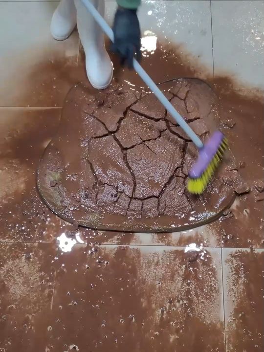 You've never seen a carpet so dirty/full of mud -ASMR Cleani