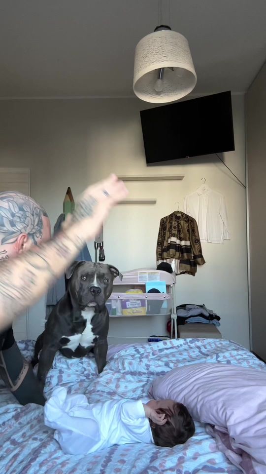 Mino da sempre è il suo angelo custode ❤️ @MASSI e MINO