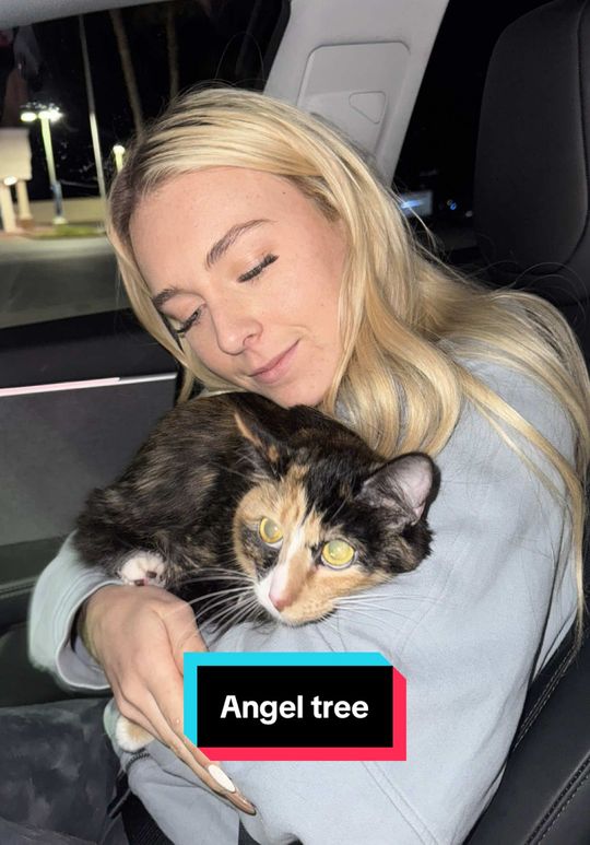 maybe the best day of my life 🥹💚🎄🐱 #angeltree #walmart gifti