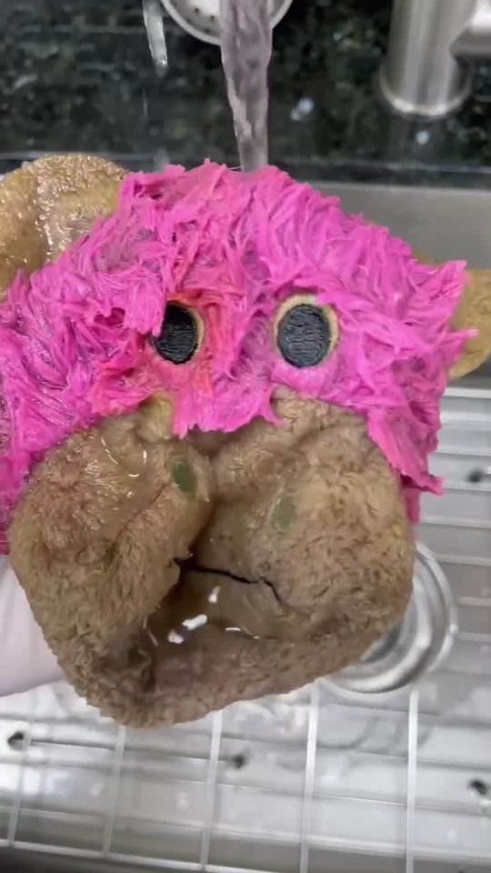 Found A stuffed monkey inside of this dogs stomach Pet will 