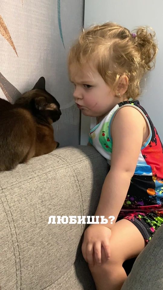 Досадно и обидно #тиктокдлясемьи