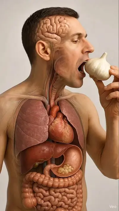what happens while you eating Garlic in human body?😱😱🤮🤮#fyp #health #v — @science.craft