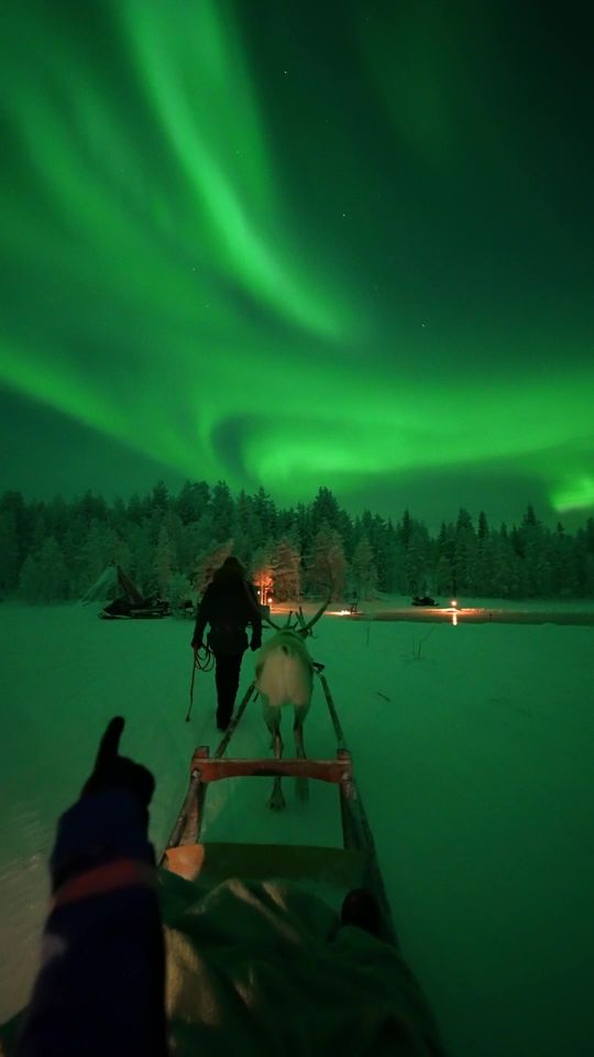 Reindeer sleigh ride under the northern lights anyone? 📍 @Lu