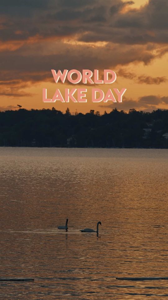On World Lake Day, we celebrate the beauty and importance of