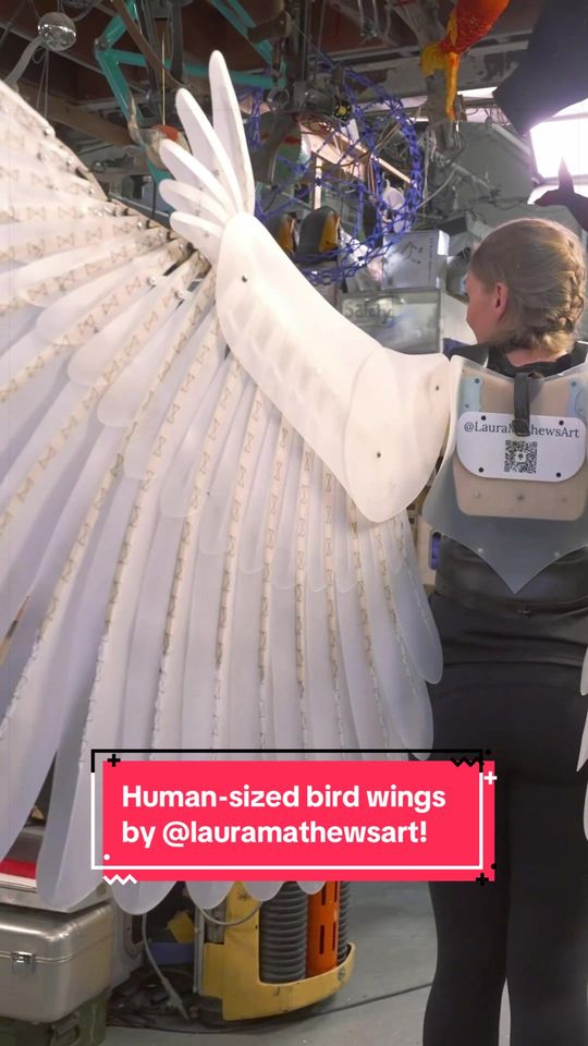 @LauraMathewsArt shows #AdamSavage some human-sized #bird #w