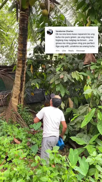 Part2 Falling Coconut Cinematic footage, ito po idol kulay Green napo  — @erix_abe