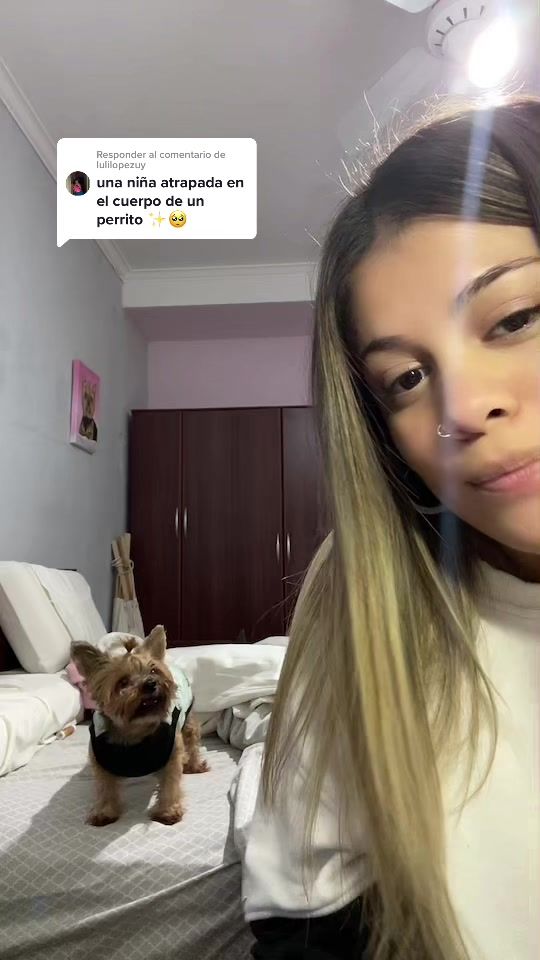 Responder a @lulilopezuy