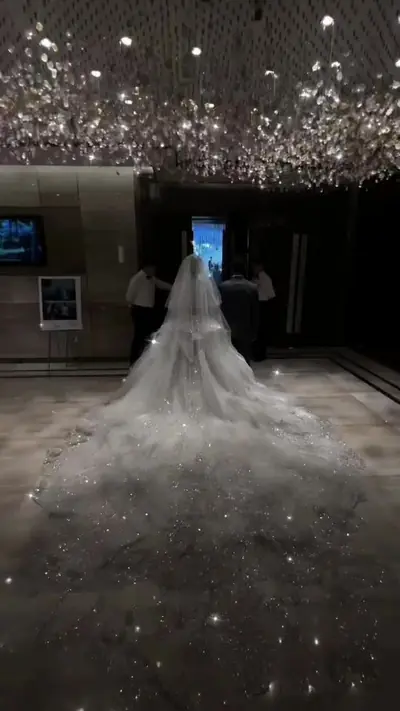 #fyp #dresses #weddingdress #fypシ #dream #gown #iconicdress #fyy #fyyy — @sagittariusxxqueen
