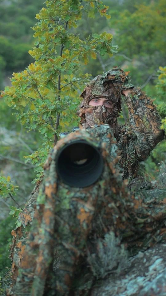 Photographing one of the most elusive animals ever, the wild