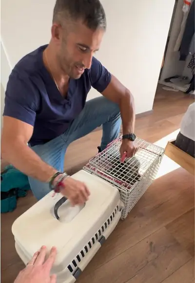 If I’m leaving I’m taking that 🧣 with me #crazycat #fyp #foryou #חתולי — @michaelvodovozov