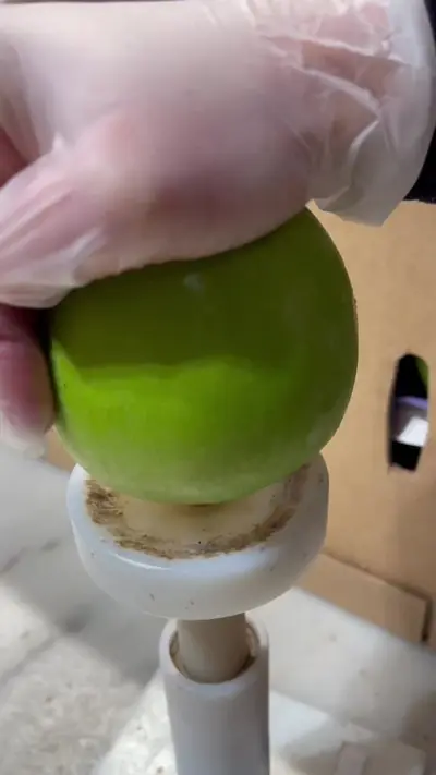 ASMR at Amy’s! Do you like it? 🍏❤️ — @amyscandykitchen